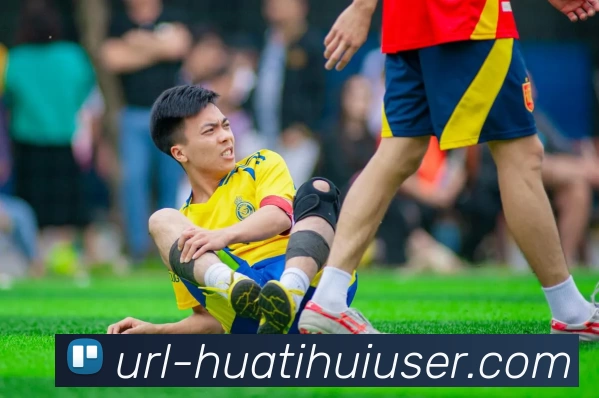 App Interface Preview