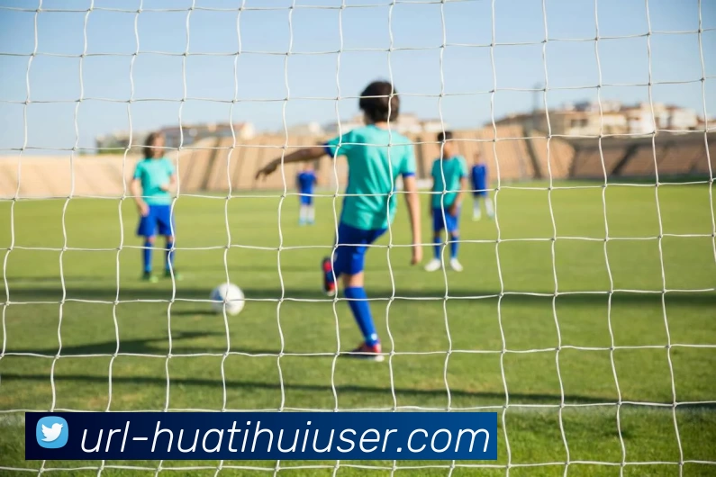 华体会体育APP 封面图